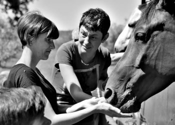 Attività e passione