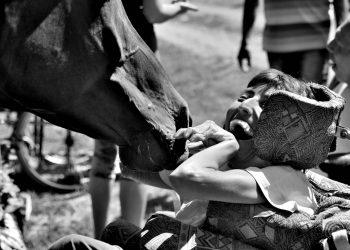 Attività e passione